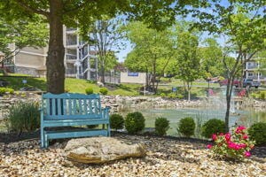 240 Meadow Ridge Ln Unit 4, Branson, MO 65616 - photo 31
