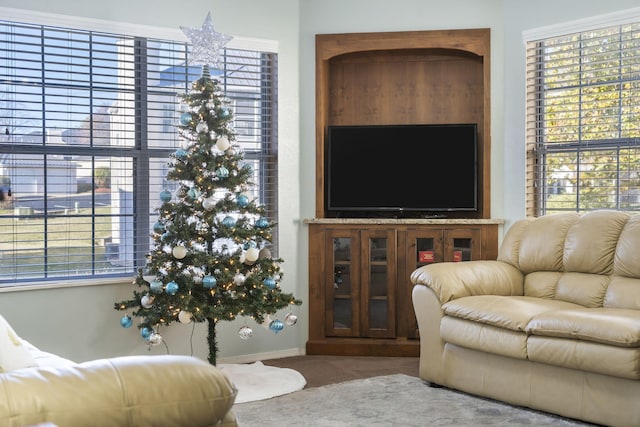 living room featuring carpet flooring