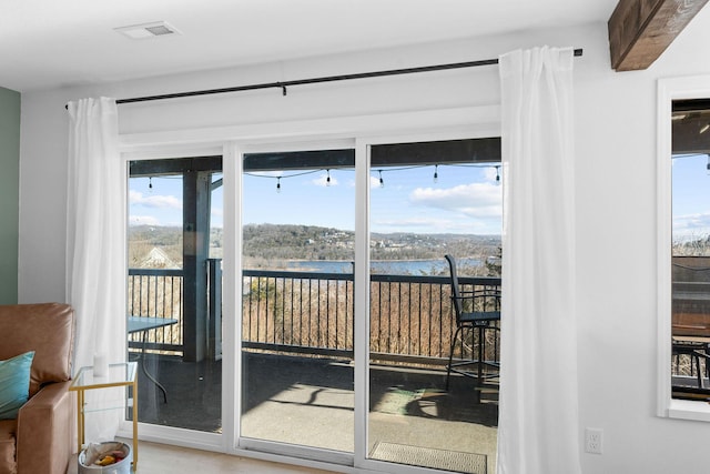 entryway featuring wood-type flooring and a water view