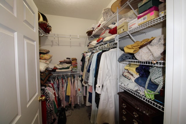 walk in closet with carpet flooring