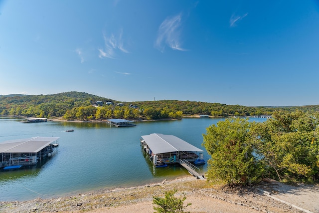 dock area featuring a water view