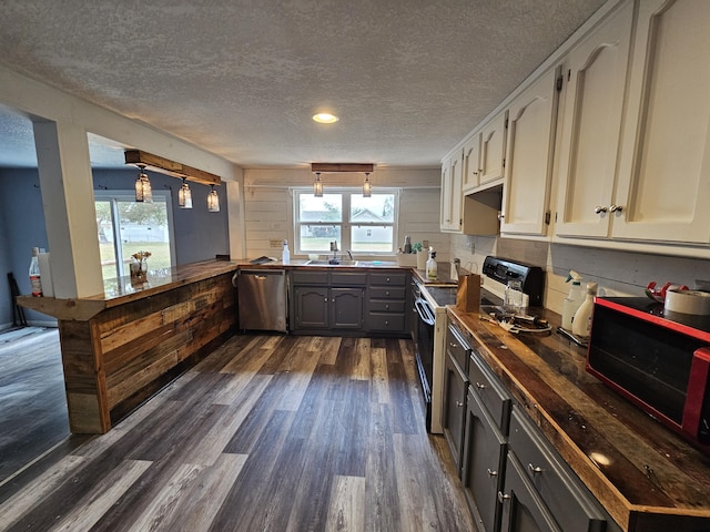 1101 E 18th St, Lamar, MO 64759 - kitchen with a healthy amount of sunlight, electric range oven, dark hardwood / wood-style flooring, and dishwasher