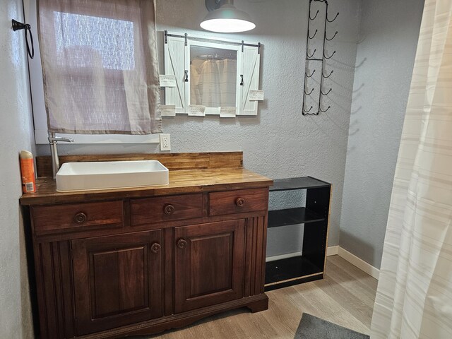 1101 E 18th St, Lamar, MO 64759 - bathroom featuring vanity and wood-type flooring