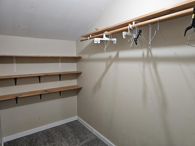 1101 E 18th St, Lamar, MO 64759 - spacious closet with vaulted ceiling