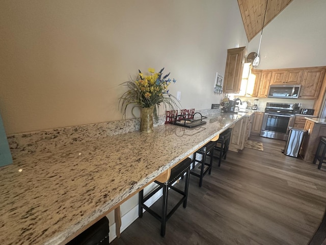 kitchen featuring high vaulted ceiling, dark wood finished floors, a sink, appliances with stainless steel finishes, and a kitchen bar