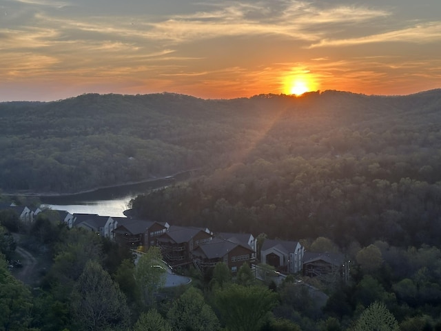 property view of mountains featuring a wooded view and a water view