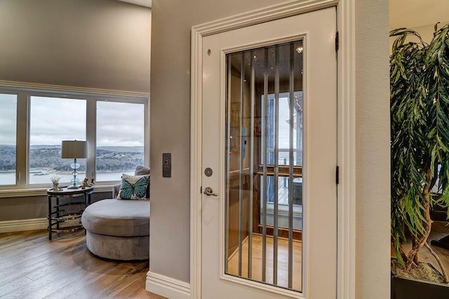 doorway featuring wood-type flooring