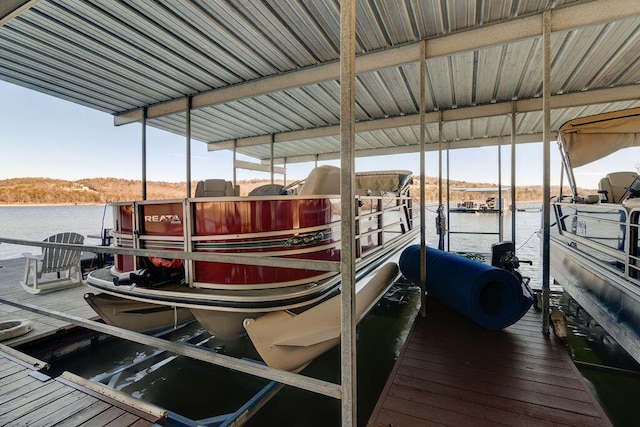 dock area with a water view