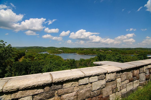 property view of water