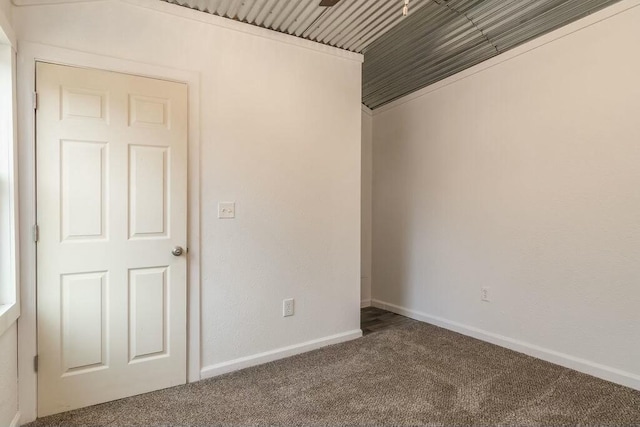 empty room featuring carpet floors