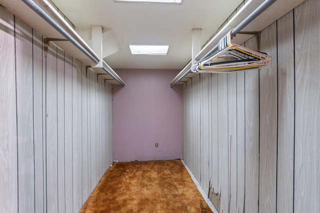 spacious closet with light colored carpet and a skylight