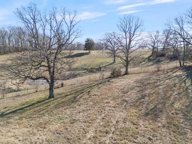 view of yard featuring a rural view