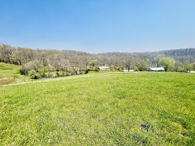 253 Raven Rd, Noel, MO 64854 - view of green lawn featuring a rural view