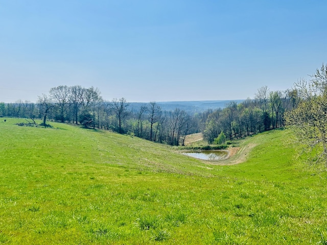 253 Raven Rd, Noel, MO 64854 - view of undeveloped land featuring a large body of water