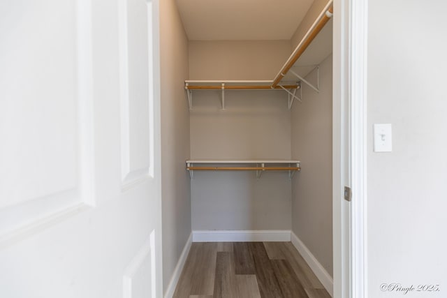 spacious closet featuring wood-type flooring