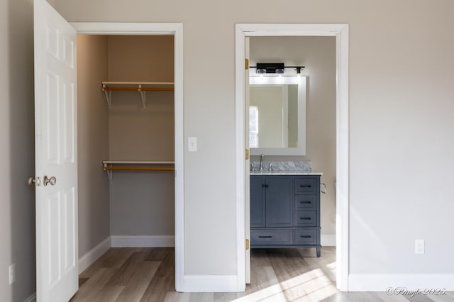 closet featuring sink