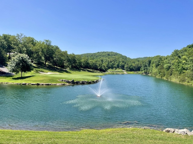 water view featuring a wooded view