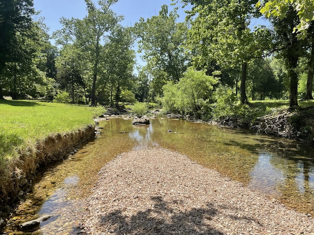 property view of water with a forest view