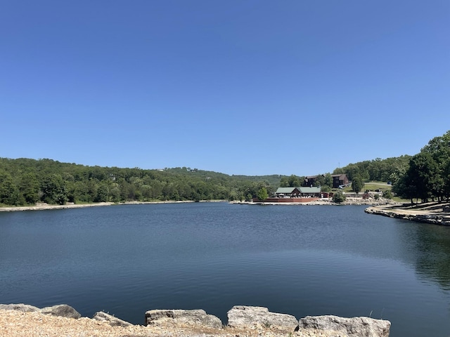 property view of water featuring a view of trees