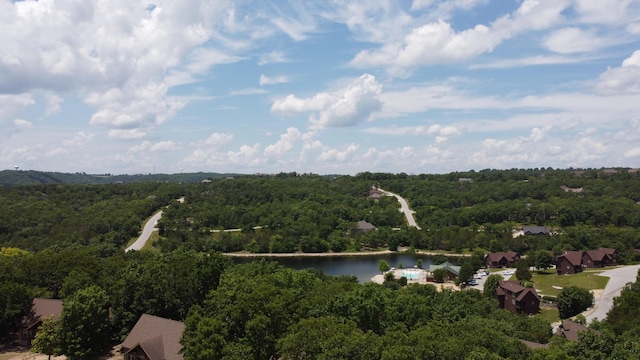 84 Bells Ave, Branson West, MO 65737 - drone / aerial view of a forest and a nearby body of water
