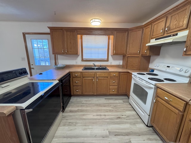 kitchen with sink, light hardwood / wood-style flooring, dishwasher, electric range oven, and white range with electric stovetop