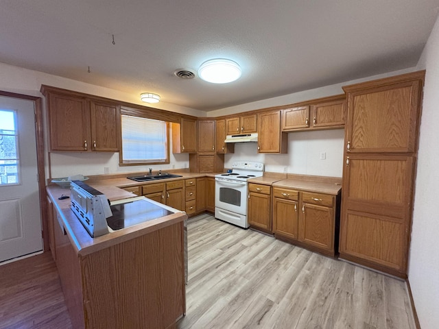 kitchen featuring sink, white electric range, light hardwood / wood-style flooring, a wealth of natural light, and kitchen peninsula