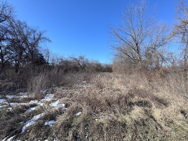 view of local wilderness