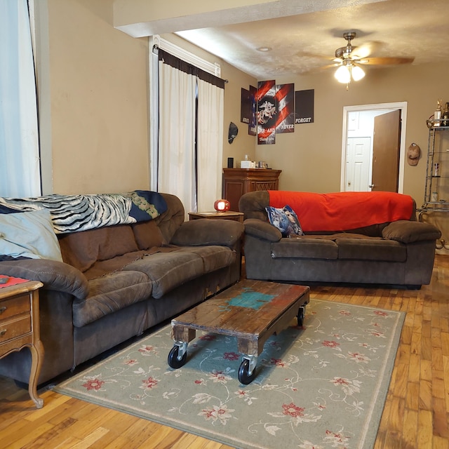 living room featuring wood-type flooring