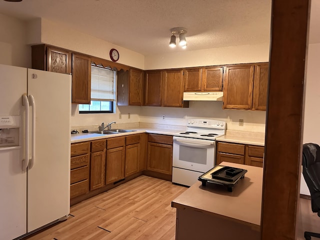 kitchen featuring sink, a textured ceiling, white appliances, and light wood-type flooring