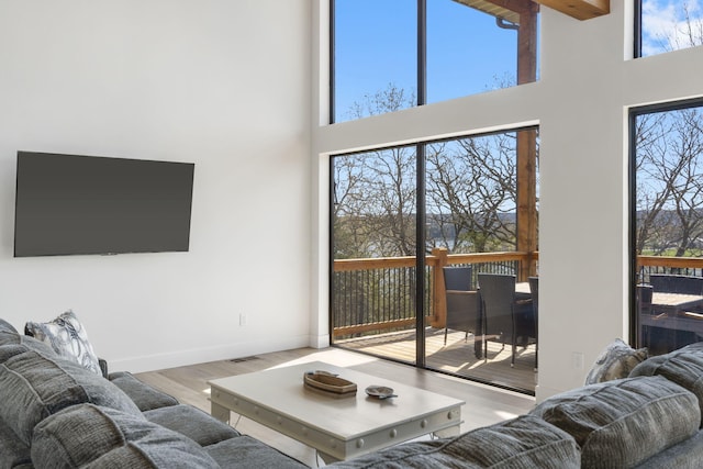 living room featuring a wealth of natural light, a high ceiling, and light wood-type flooring