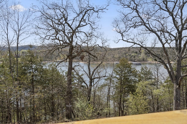 view of water feature