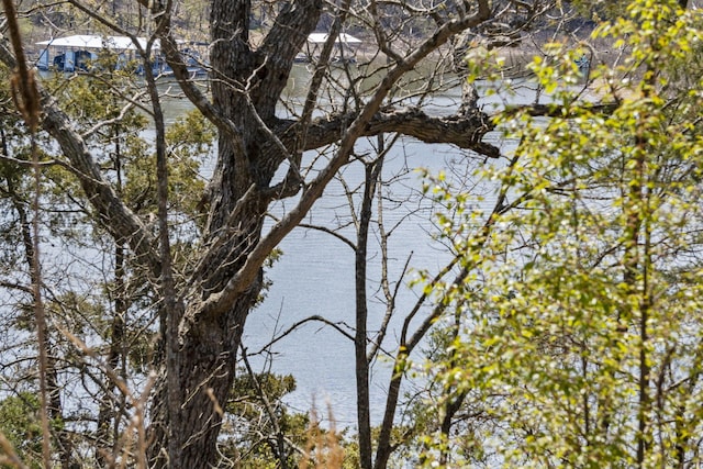 property view of water