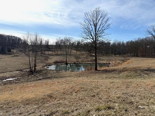 view of yard featuring a rural view and a water view