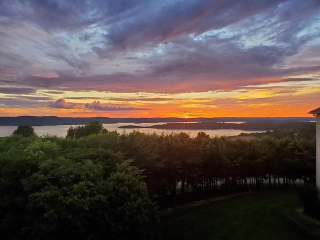 135 Upper Emerald Bay Cir Unit G-5, Hollister, MO 65672 - property view of water