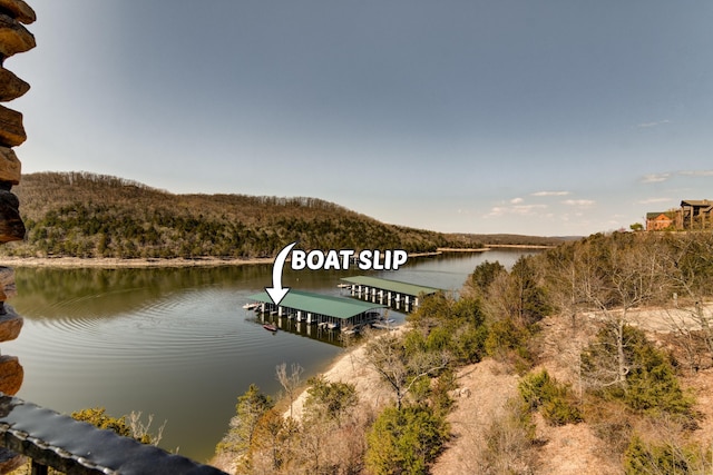 view of dock with a water view