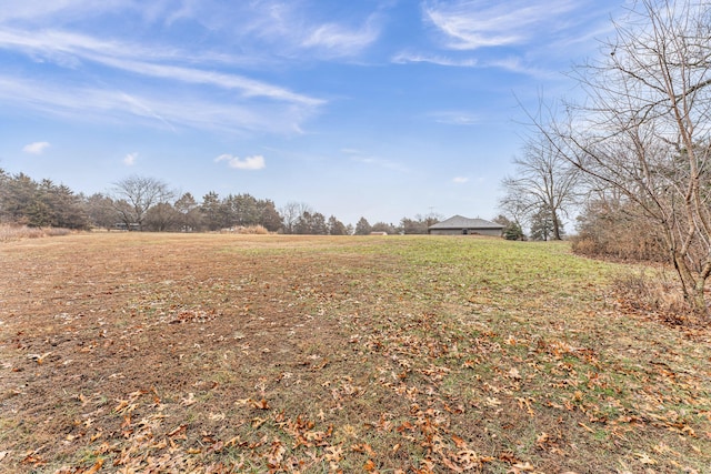 view of yard with a rural view