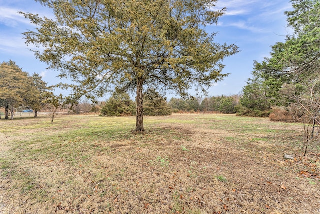 view of yard with a rural view