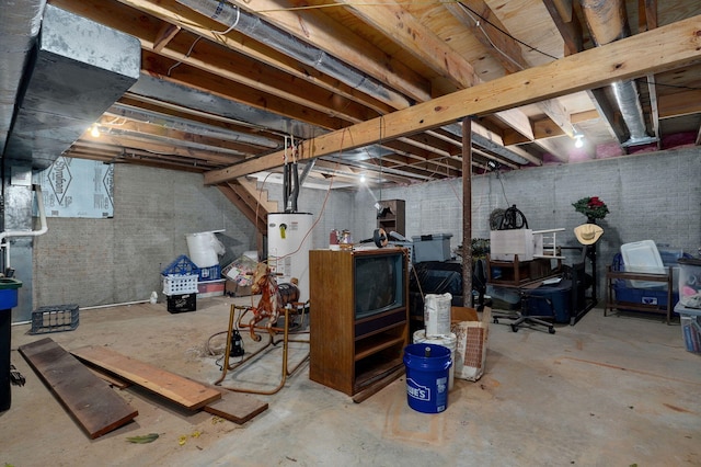 basement with water heater