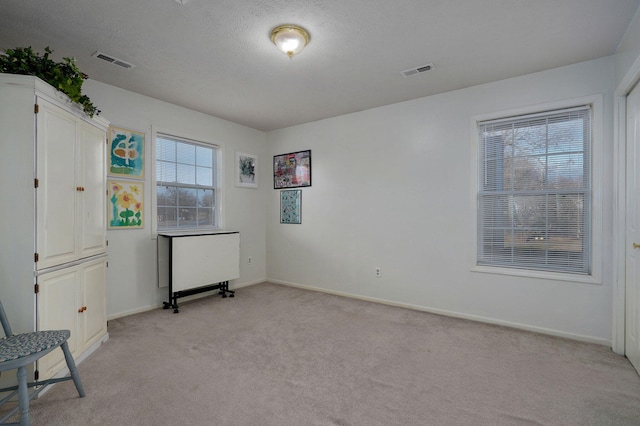 interior space featuring light colored carpet and a textured ceiling