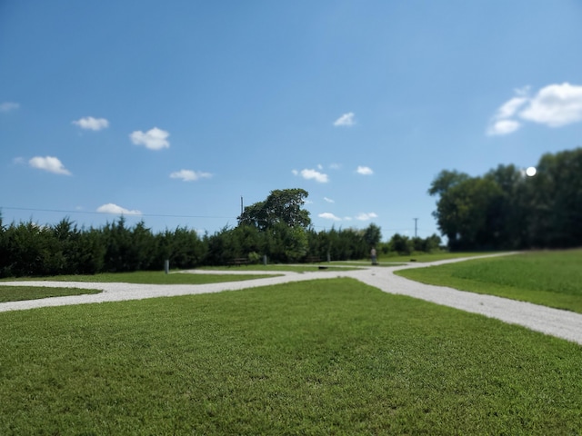 surrounding community featuring a yard