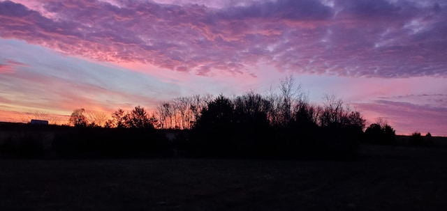 view of nature at dusk