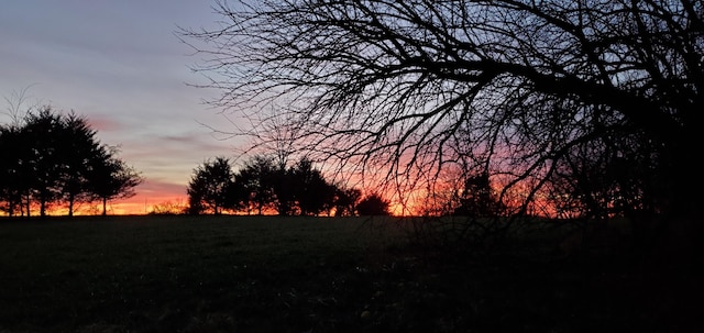 view of nature at dusk