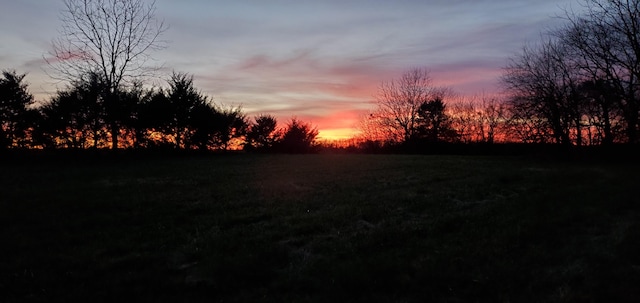 view of nature at dusk