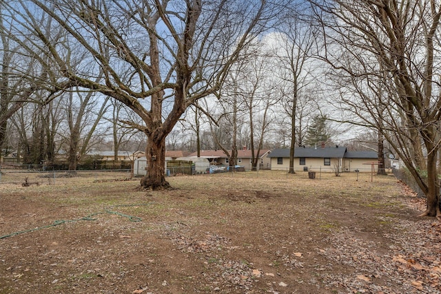 view of yard with a shed