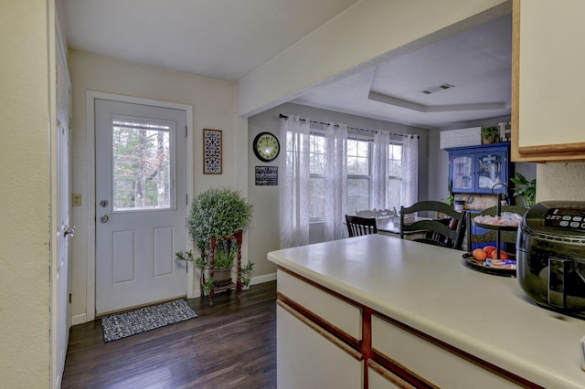 interior space featuring a raised ceiling, plenty of natural light, and dark hardwood / wood-style floors