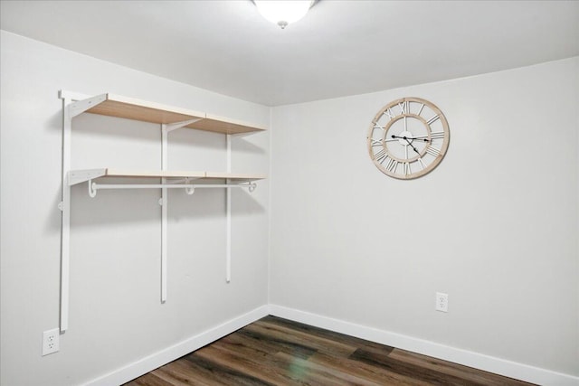 walk in closet featuring dark hardwood / wood-style flooring