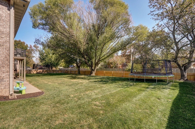 view of yard with a patio and a trampoline