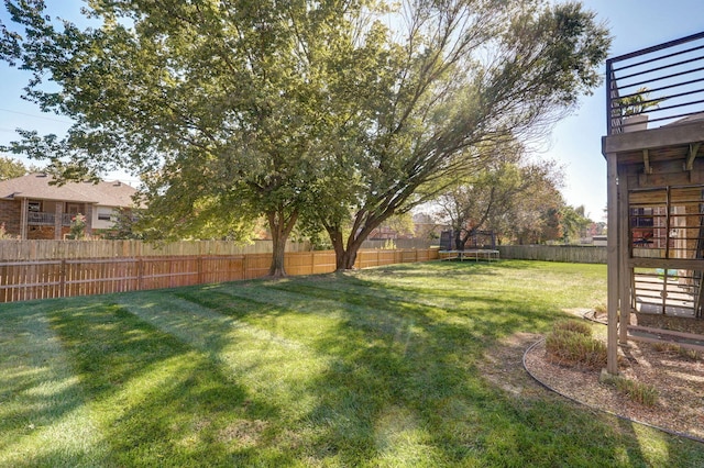 view of yard featuring a trampoline