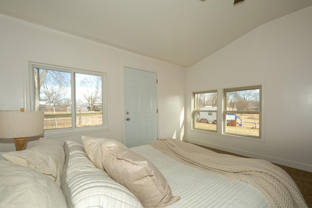 bedroom featuring lofted ceiling and carpet