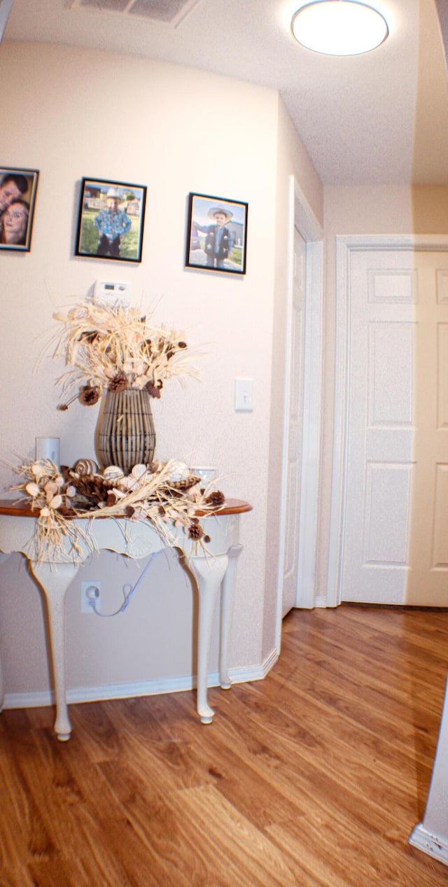 hallway featuring hardwood / wood-style floors